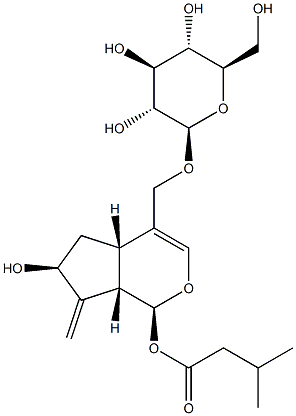 (1S)-4-[[(β-D-Glucopyranosyl)oxy]methyl]-1,4aα,5,6,7,7aα-hexahydro-6α-hydroxy-7-methylenecyclopenta[c]pyran-1α-yl=isovalerate CAS#: 95260-25-6