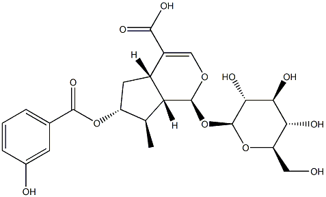 (1S)-1α-(β-D-Glucopyranosyloxy)-1,4aα,5,6,7,7aα-hexahydro-6β-(3-hydroxybenzoyloxy)-7α-methylcyclopenta[c]pyran-4-carboxylic acid CAS#: 96087-14-8