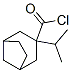 Bicyclo[3.2.1]octane-3-carbonyl chloride, 3-(1-methylethyl)- (9CI) CAS#: 95685-43-1