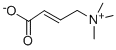 CROTONYLBETAINE(CARNITINE IMPURITY)(RG) CAS#: 927-89-9