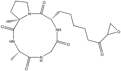 Cyclo[L-Ala-Gly-[(2S)-8-oxo-2-amino*-8-oxiranyloctanoyl]-D-Pro-] CAS#: 96090-02-7