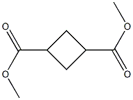 Cyclobutane-1,3-dicarboxylicaciddiMethylester CAS#: 90199-98-7
