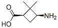 Cyclobutanecarboxylic acid, 3-amino-2,2-dimethyl-, cis- (9CI) CAS#: 92772-95-7