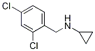 Cyclopropyl-(2,4-dichloro-benzyl)-aMine CAS#: 892568-95-5