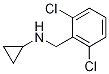 Cyclopropyl-(2,6-dichloro-benzyl)-aMine CAS#: 892569-22-1
