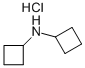 DICYCLOBUTYLAMINE HCL CAS#: 90203-81-9