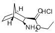 ETHYL 3-EXO-AMINOBICYCLO[2.2.1]HEPTANE-2-EXO-CARBOXYLATE HYDROCHLORIDE CAS#: 95630-75-4