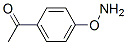 Ethanone, 1-[4-(aminooxy)phenyl]- (9CI) CAS#: 94831-81-9