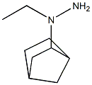 Hydrazine,  [1-(2-norbornyl)ethyl]-  (6CI,7CI) CAS#: 90728-67-9