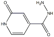 Isonicotinic acid, 1,2-dihydro-2-oxo-, hydrazide (6CI) CAS#: 98140-91-1