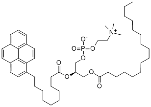 L-ALPHA-PHOSPHATIDYLCHOLINE, BETA-(PYREN-1-YL)DECANOYL-GAMMA-PALMITOYL CAS#: 95864-17-8