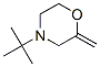 Morpholine,  4-tert-butyl-2-methylene-  (7CI) CAS#: 90949-51-2
