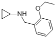 N-(2-ETHOXYBENZYL)CYCLOPROPANAMINE CAS#: 889949-29-5