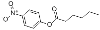 N-CAPROIC ACID 4-NITROPHENYL ESTER CAS#: 956-75-2