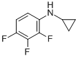 N-CYCLOPROPYL-2,3,4-TRIFLUOROANILINE CAS#: 94242-49-6