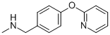 N-METHYL-N-[4-(PYRIDIN-2-YLOXY)BENZYL]AMINE CAS#: 892501-90-5