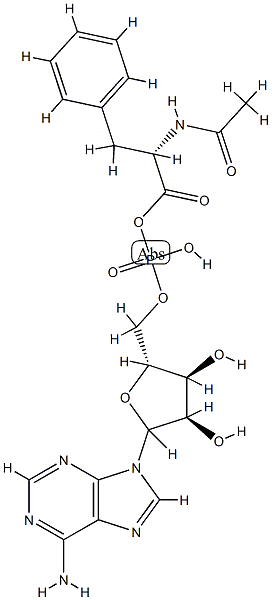 N-acetylphenylalanyl-adenosine monophosphate-anhydride CAS#: 93240-95-0