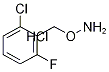 O-[(2-Chloro-6-fluorophenyl)methyl]hydroxylamine hydrochloride CAS#: 93081-15-3