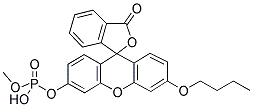 O-METHYL-O-(N-BUTYLFLUORESCEIN)PHOSPHATE CAS#: 887406-94-2