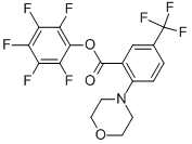 PENTAFLUOROPHENYL 2-MORPHOLINO-5-(TRIFLUOROMETHYL)BENZOATE CAS#: 898289-52-6