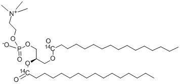 PHOSPHATIDYLCHOLINE, L-ALPHA-DIPALMITOYL, [DIPALMITOYL-1-14C] CAS#: 97423-96-6