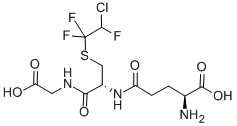 S-(2-chloro-1,1,2-trifluoroethyl)glutathione CAS#: 97058-30-5