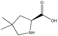(S)-4,4-DIMETHYL-PYRROLIDINE-2-CARBOXYLIC ACID CAS#: 891183-50-9