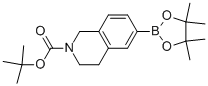 TERT-BUTYL 6-(4,4,5,5-TETRAMETHYL-1,3,2-DIOXABOROLAN-2-YL)-3,4-DIHYDROISOQUINOLINE-2(1H)-CARBOXYLATE CAS#: 893566-72-8