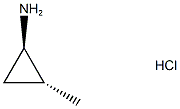 TRANS-2-METHYLCYCLOPROPANAMINE HYDROCHLORIDE CAS#: 97291-62-8