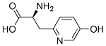 beta-(5-hydroxy-2-pyridyl)alanine CAS#: 943-82-8