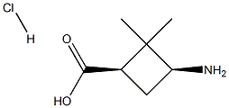 cis-3-AMino-2,2-diMethylcyclobutanecarboxylic acid hydrochloride CAS#: 92812-22-1