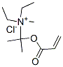 diethylmethyl[1-methyl-1-[(1-oxoallyl)oxy]ethyl]ammonium chloride CAS#: 93842-90-1
