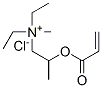 diethylmethyl[2-[(1-oxoallyl)oxy]propyl]ammonium chloride CAS#: 93804-77-4