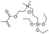 dimethyl[2-[(2-methyl-1-oxoallyl)oxy]ethyl][3-(triethoxysilyl)propyl]ammonium chloride CAS#: 94134-22-2