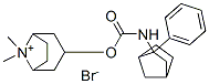 endo-8,8-dimethyl-3-[[[(2-phenylbicyclo[2.2.1]hept-2-yl)amino]carbonyl]oxy]-8-azoniabicyclo[3.2.1]octane bromide CAS#: 94598-43-3