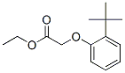 ethyl [2-(1,1-dimethylethyl)phenoxy]acetate CAS#: 93893-53-9