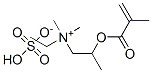 methyl 2-[(2-methyl-1-oxoallyl)oxy]propyltrimethylammonium sulphate CAS#: 94086-95-0