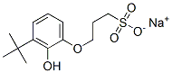sodium 3-[(1,1-dimethylethyl)-2-hydroxyphenoxy]propanesulphonate CAS#: 93803-96-4