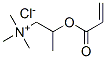 trimethyl-2-[(1-oxoallyl)oxy]propylammonium chloride CAS#: 93919-29-0