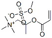 trimethyl-2-[(oxoallyl)oxy]propylammonium methyl sulphate CAS#: 93941-90-3