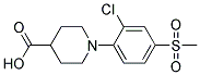 1-[2-CHLORO-4-(METHYLSULFONYL)PHENYL]PIPERIDINE-4-CARBOXYLIC ACID CAS#: 942474-34-2
