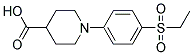 1-[4-(ETHYLSULFONYL)PHENYL]PIPERIDINE-4-CARBOXYLIC ACID CAS#: 951624-97-8