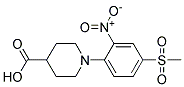 1-[4-(METHYLSULFONYL)-2-NITROPHENYL]PIPERIDINE-4-CARBOXYLIC ACID CAS#: 942474-70-6