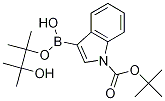 1-BOC-indole-3-boronic acid, pinacol ester CAS#: 942070-45-3