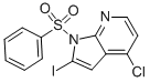 1-Benzenesulfonyl-4-chloro-2-iodo-7-azaindole CAS#: 940948-30-1