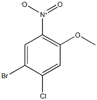1-Bromo-2-chloro-4-methoxy-5-nitrobenzene CAS#: 917562-21-1