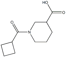 1-(CYCLOBUTYLCARBONYL)-3-PIPERIDINECARBOXYLIC ACID CAS#: 926214-73-5