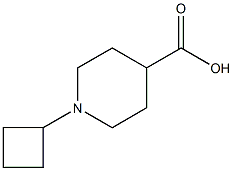 1-Cyclobutyl-piperidine-4-carboxylic acid CAS#: 935534-09-1