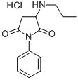 1-PHENYL-3-(PROPYLAMINO)-2,5-PYRROLIDINEDIONE HYDROCHLORIDE CAS#: 929286-57-7