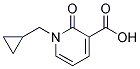1-(cyclopropylmethyl)-2-oxo-1,2-dihydropyridine-3-carboxylic acid CAS#: 954225-36-6